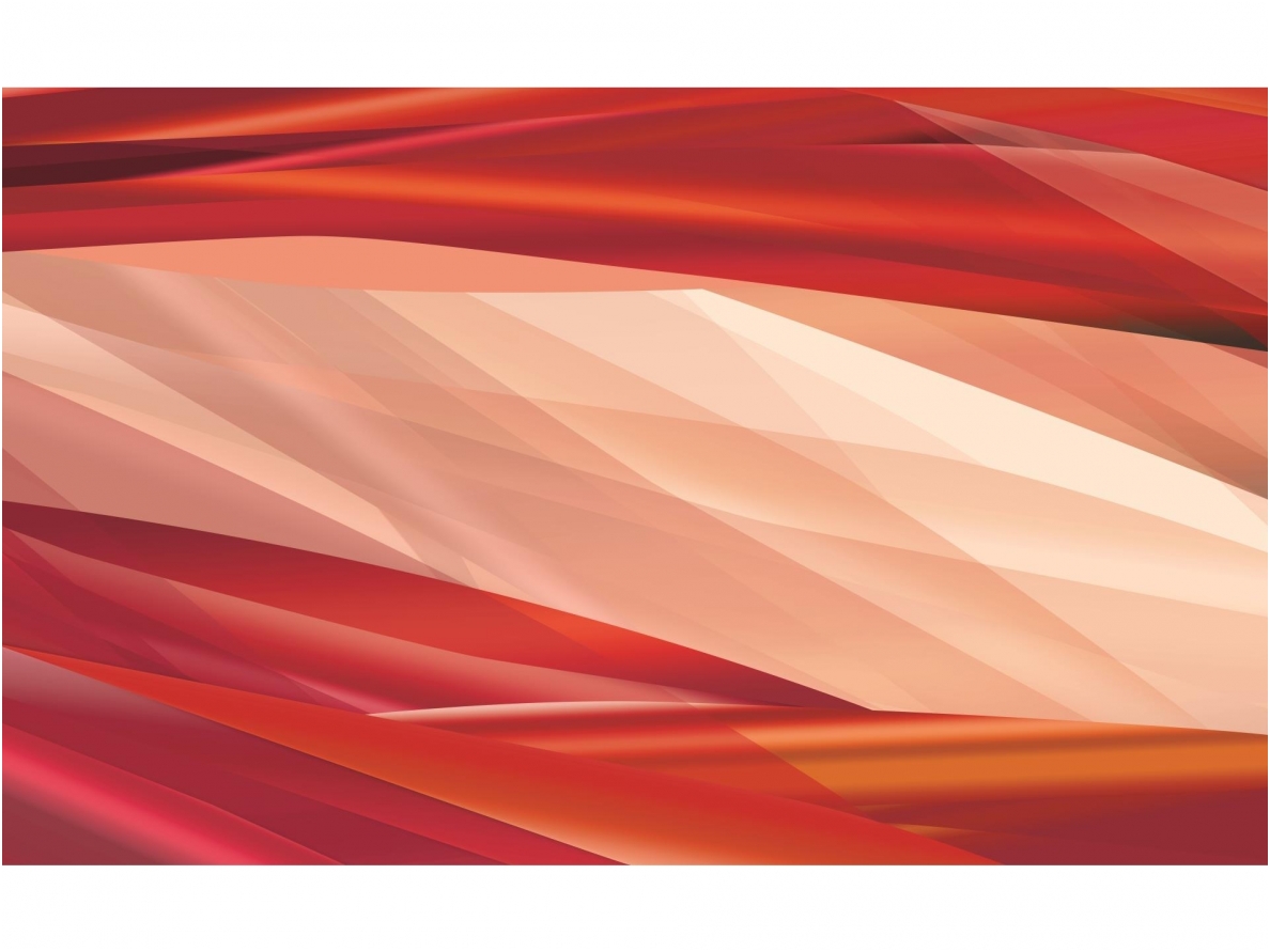 FOR WALL fototapetai 0568VE XXXL