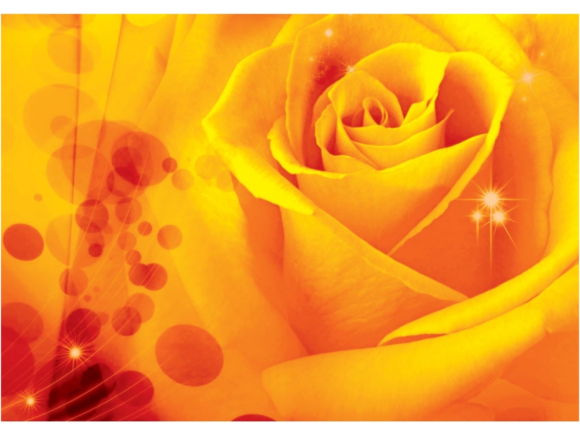 FOR WALL fototapetai 0580VE M