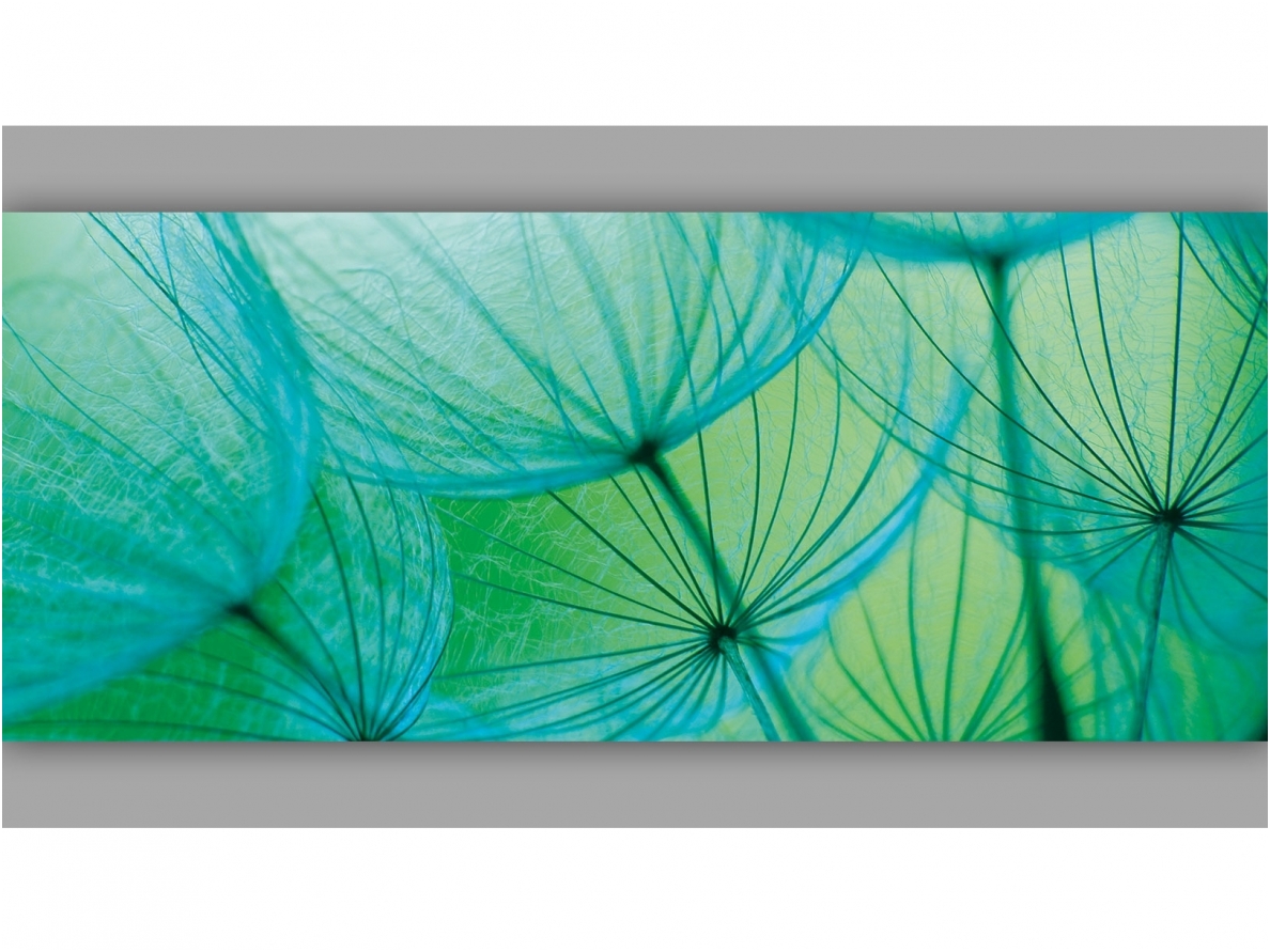 FOR WALL fototapetai 0585VEP