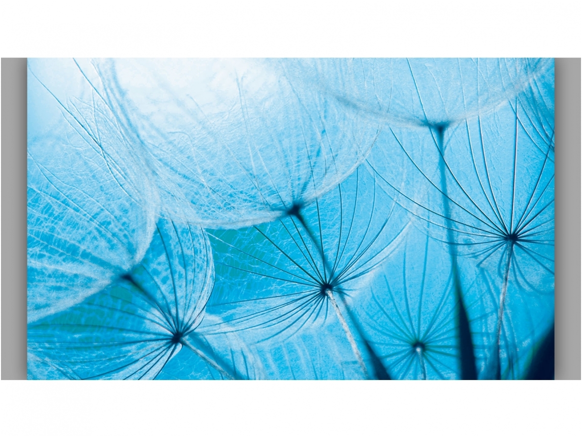 FOR WALL fototapetai 0586VE P4 FOR WALL fototapetai 0586VE P4
