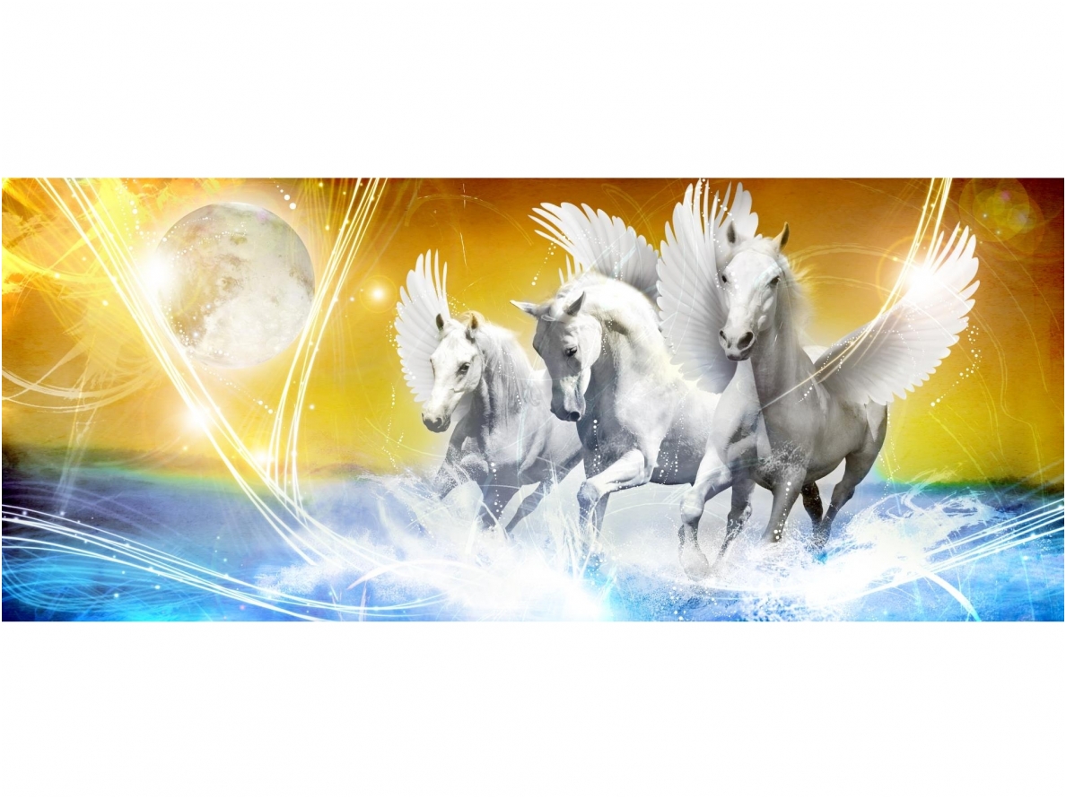 FOR WALL fototapetai 0587VEP