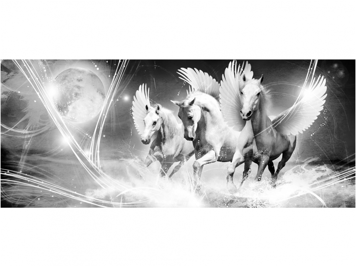 FOR WALL fototapetai 0590VEP