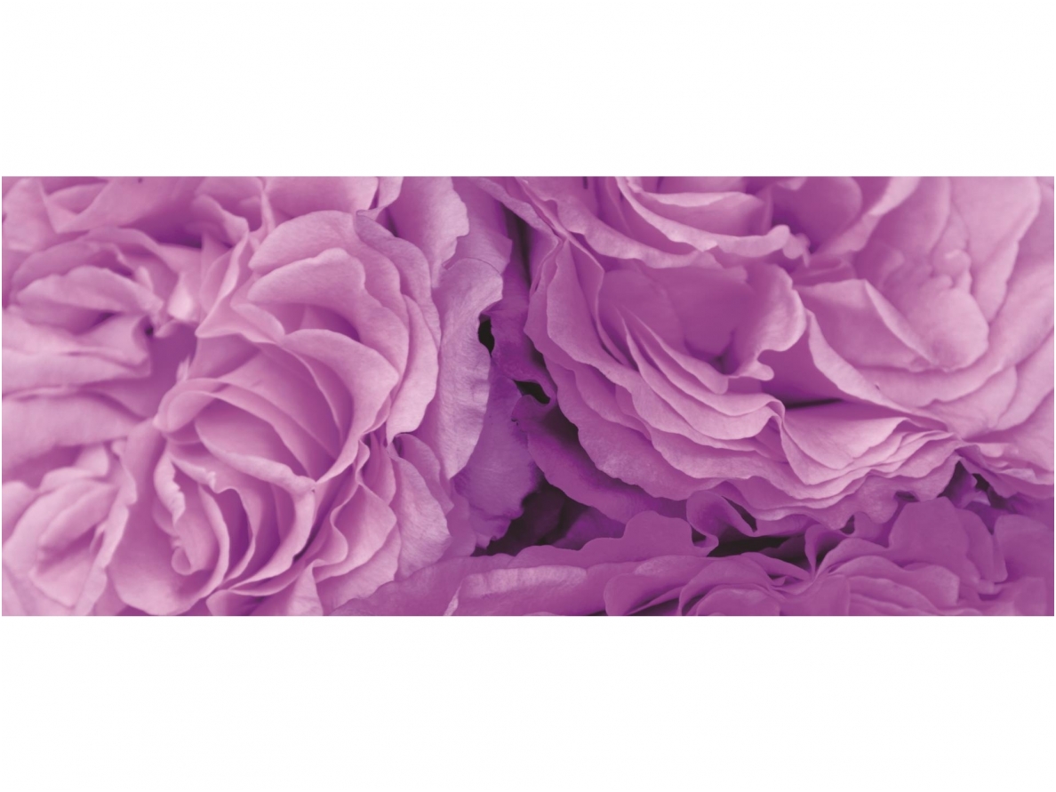FOR WALL fototapetai 0657VEP FOR WALL fototapetai 0657VEP