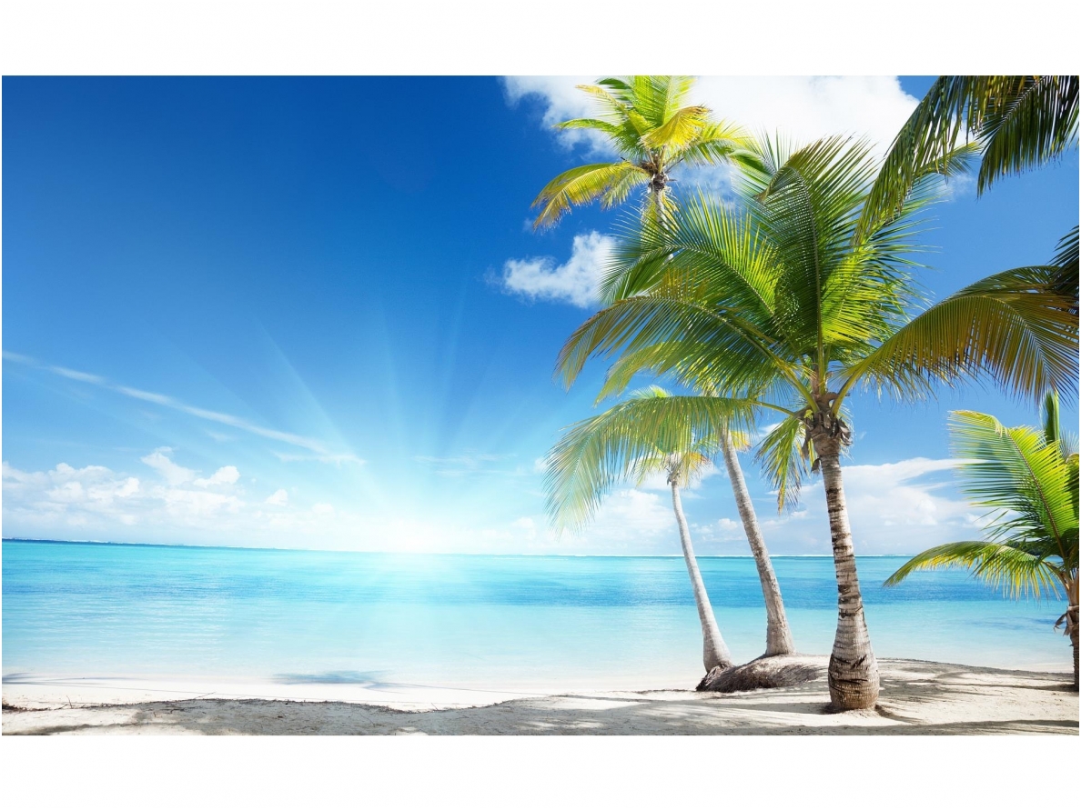 FOR WALL fototapetai 0735VE XL