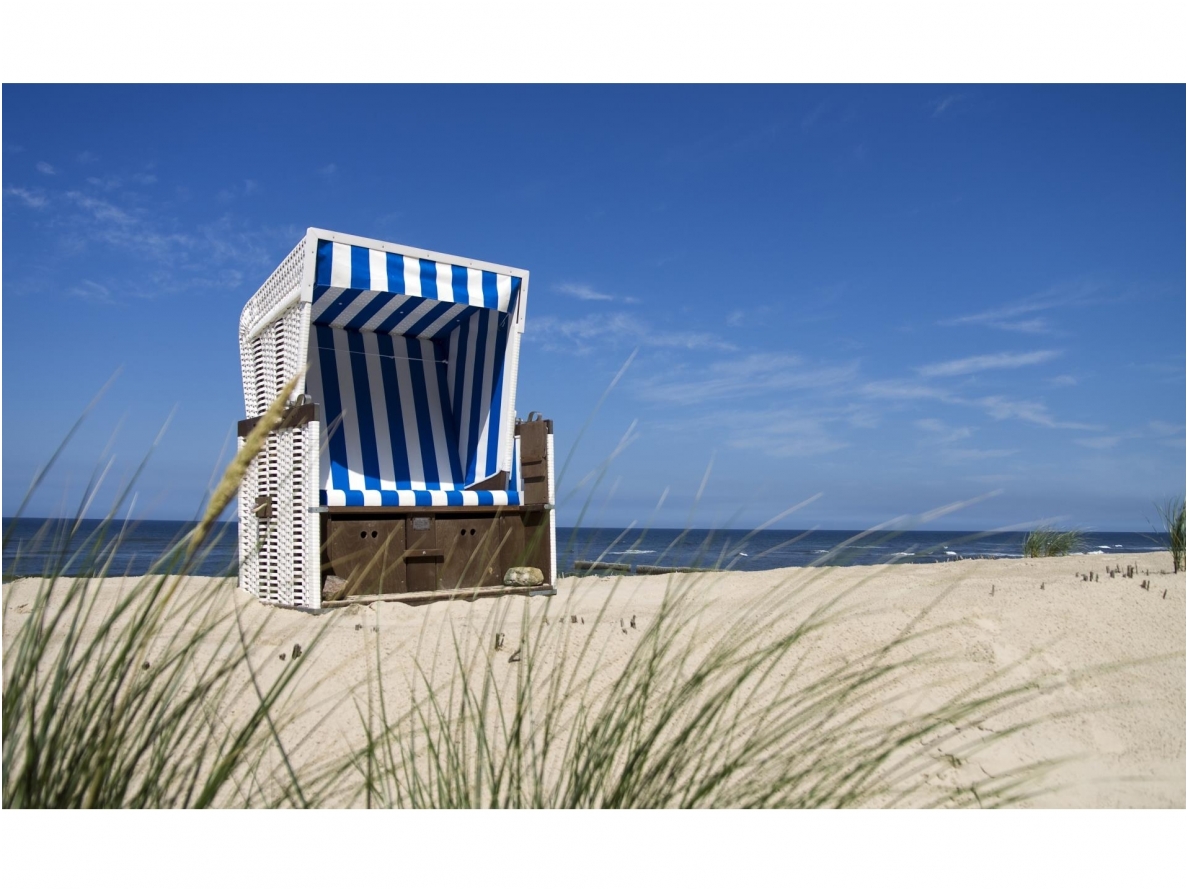 FOR WALL fototapetai 0738VE XXL FOR WALL fototapetai 0738VE XXL