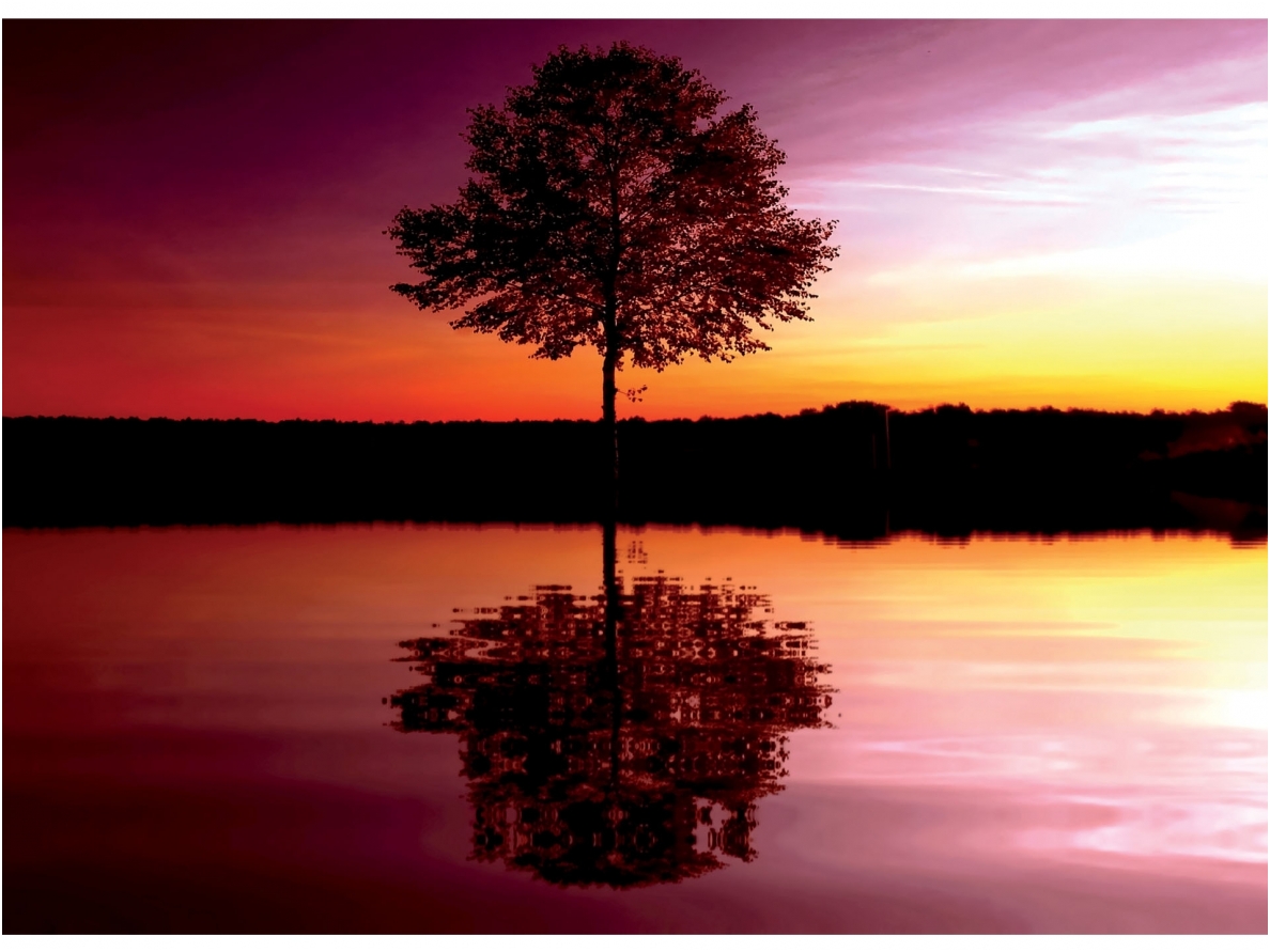 FOR WALL fototapetai 08-007VE P8