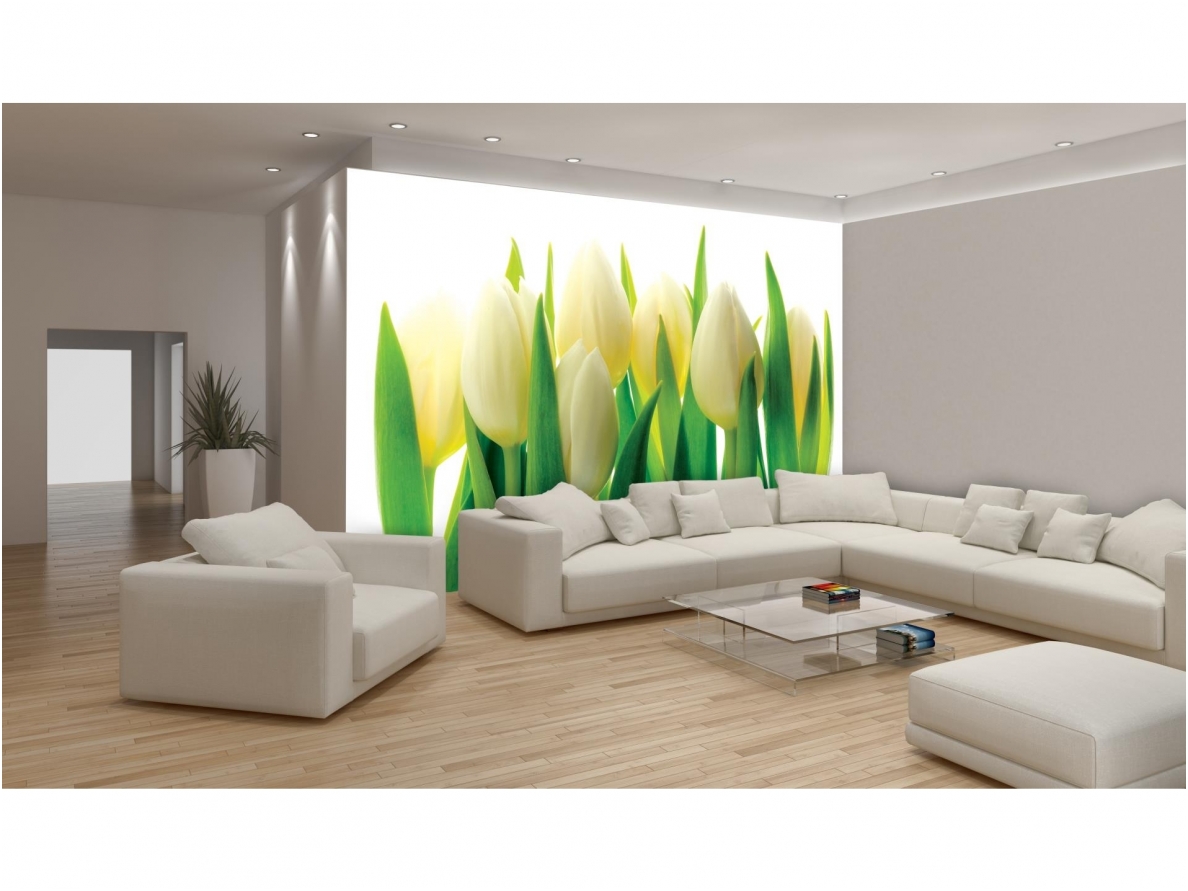 FOR WALL fototapetai 0894VE XXXL 2 FOR WALL fototapetai 0894VE XXXL 2