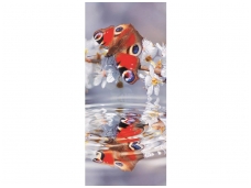 FOR WALL fototapetai 0013VET