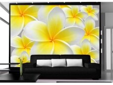FOR WALL fototapetai 0033VE XL FOR WALL fototapetai 0033VE XL