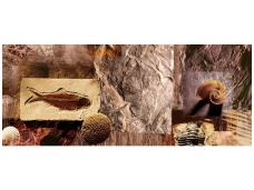 FOR WALL fototapetai 0053VEP
