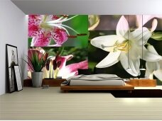 FOR WALL fototapetai 0076VE XL FOR WALL fototapetai 0076VE XL