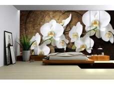 FOR WALL fototapetai 1014VE XL FOR WALL fototapetai 1014VE XL