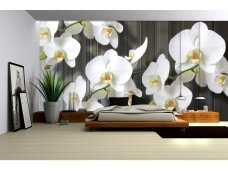 FOR WALL fototapetai 1015VE XL FOR WALL fototapetai 1015VE XL