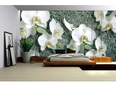 FOR WALL fototapetai 1016VE XL FOR WALL fototapetai 1016VE XL