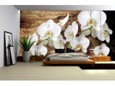 FOR WALL fototapetai 1017VE XL FOR WALL fototapetai 1017VE XL