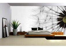 FOR WALL fototapetai 1023VE XL FOR WALL fototapetai 1023VE XL