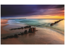 FOR WALL fototapetai 1027VE XXXL