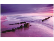 FOR WALL fototapetai 1028VE XXXL