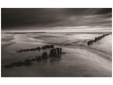 FOR WALL fototapetai 1029VE XXL