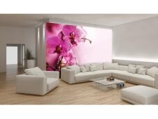 FOR WALL fototapetai 1033VE XL FOR WALL fototapetai 1033VE XL