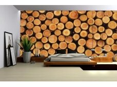 FOR WALL fototapetai 1068VE XXXL FOR WALL fototapetai 1068VE XXXL