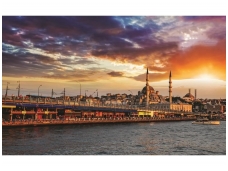 FOR WALL fototapetai 1069VE XL