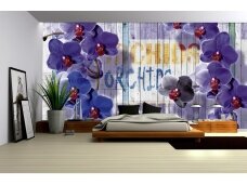 FOR WALL fototapetai 1070VE XL FOR WALL fototapetai 1070VE XL