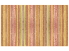 FOR WALL fototapetai 1097VE XXXL