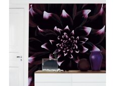 MR PERSWALL fototapetai DM319-1 Dahlia MR PERSWALL fototapetai DM319-1 Dahlia