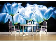FOR WALL fototapetai 1103VE L FOR WALL fototapetai 1103VE L