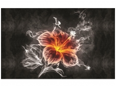 FOR WALL fototapetai 1107VE XXXL