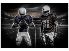 FOR WALL fototapetai 1111VE XXL