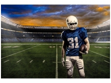 FOR WALL fototapetai 1113VE XXL