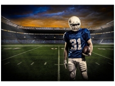 FOR WALL fototapetai 1114VE XXL