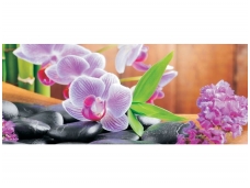 FOR WALL fototapetai 0115VEP