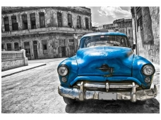 FOR WALL fototapetai 1178VE M