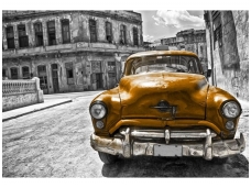 FOR WALL fototapetai 1179VE XXXL