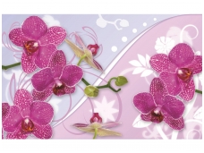FOR WALL fototapetai 1207VE XXL