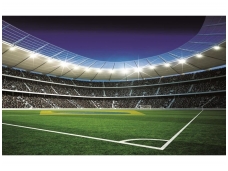 FOR WALL fototapetai 1213VE XXL