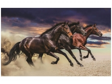 FOR WALL fototapetai 1217VE XXL
