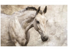 FOR WALL fototapetai 1218VE XXL
