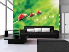 FOR WALL fototapetai 0121VE XL FOR WALL fototapetai 0121VE XL