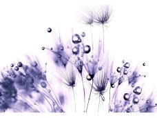 FOR WALL fototapetai 124 VX4