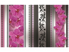 FOR WALL fototapetai 1276VE XXL