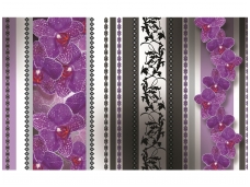 FOR WALL fototapetai 1277VE XXL
