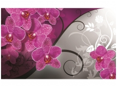 FOR WALL fototapetai 1279VE XXL