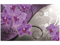 FOR WALL fototapetai 1280VE XXL