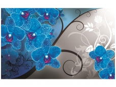 FOR WALL fototapetai 1281VE XXXL