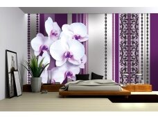 FOR WALL fototapetai 1282VE XL