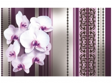 FOR WALL fototapetai 1282VE XXL